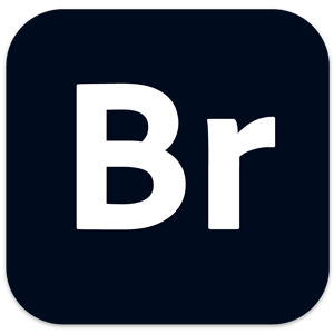 Adobe Bridge 2025 v15.1.1 for Mac 中文破解版 照片图像等资源管理器