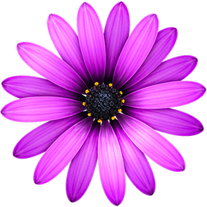 TextMate 2.0.23 fix for Mac 破解版 强大的文本编辑器