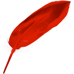 iCalamus 2.27 for Mac 优秀的版面设计软件